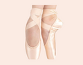 Ranime Pointe Shoes
