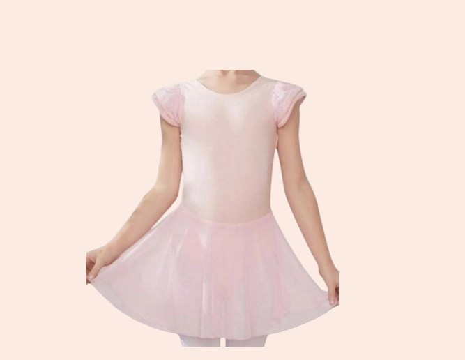 Rosa Leotard